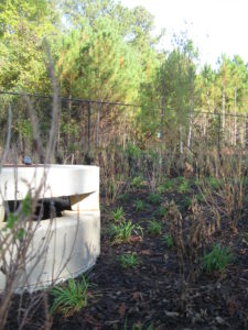 bio retention area Partain Engineering metro Atlanta, GA civil engineering firm